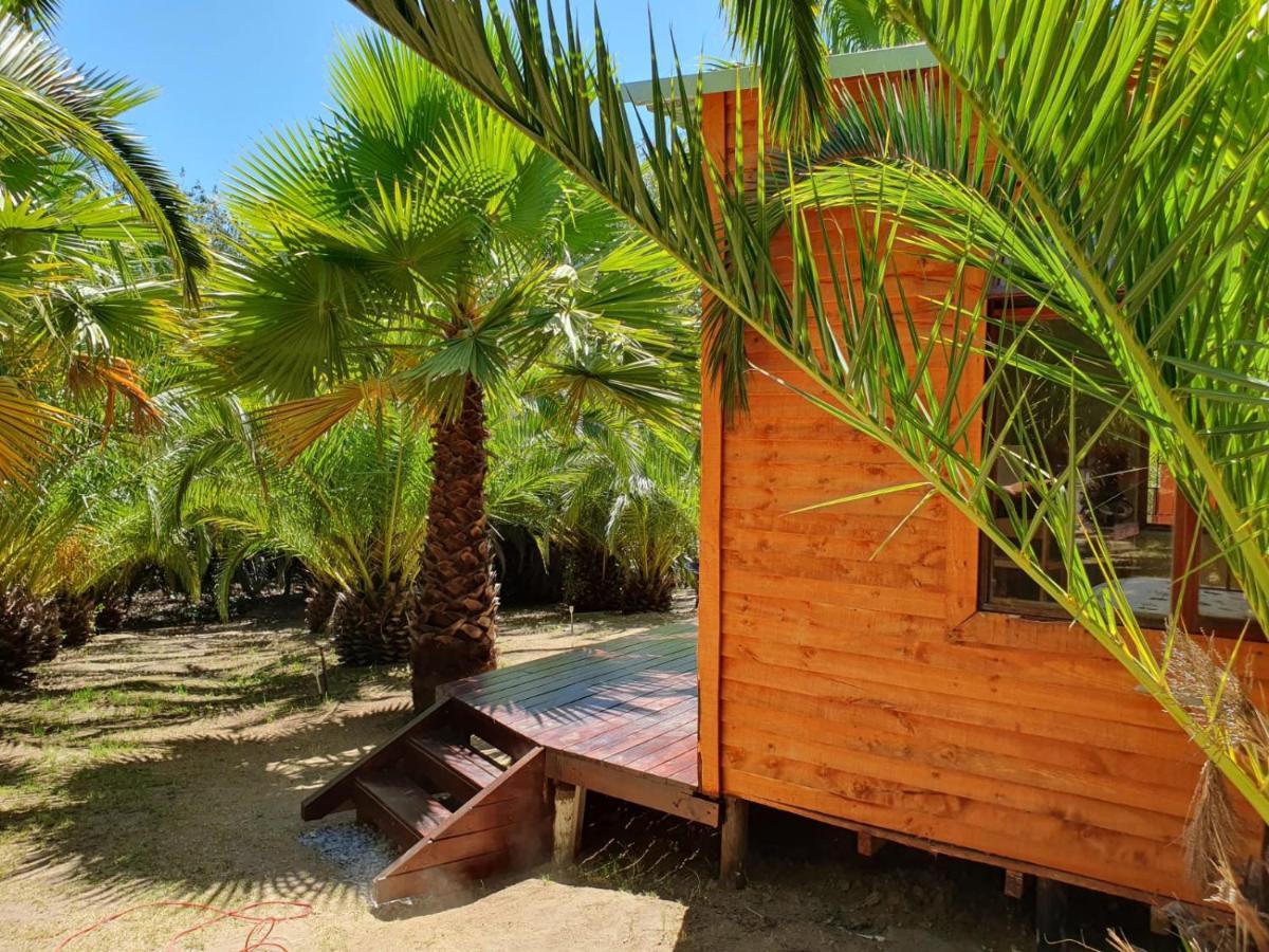 The Farmhouse Palm Tree Cabin Stellenbosch Exterior foto