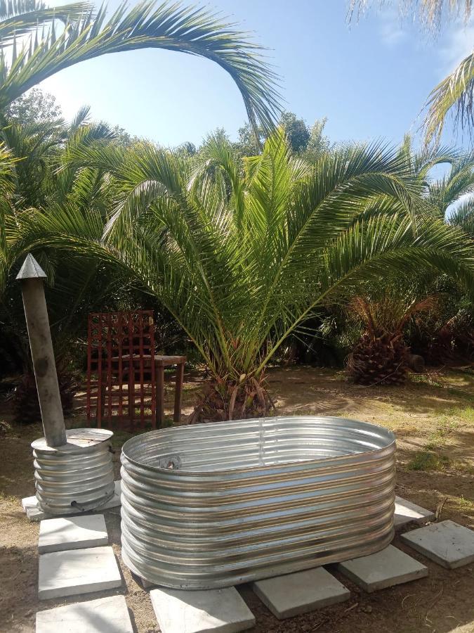 The Farmhouse Palm Tree Cabin Stellenbosch Exterior foto