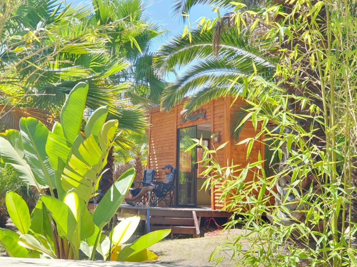 The Farmhouse Palm Tree Cabin Stellenbosch Exterior foto